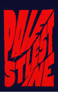 Palestine tee in navy with red bold text