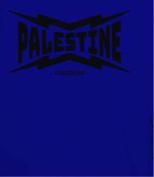 Palestine- power statement tee in royal blue with black text