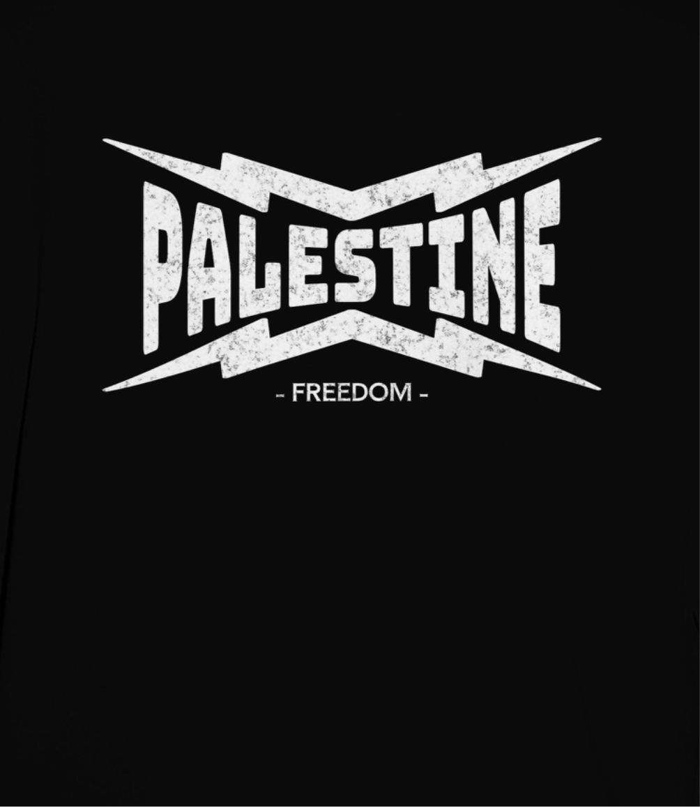 Palestine- power statement tee in black