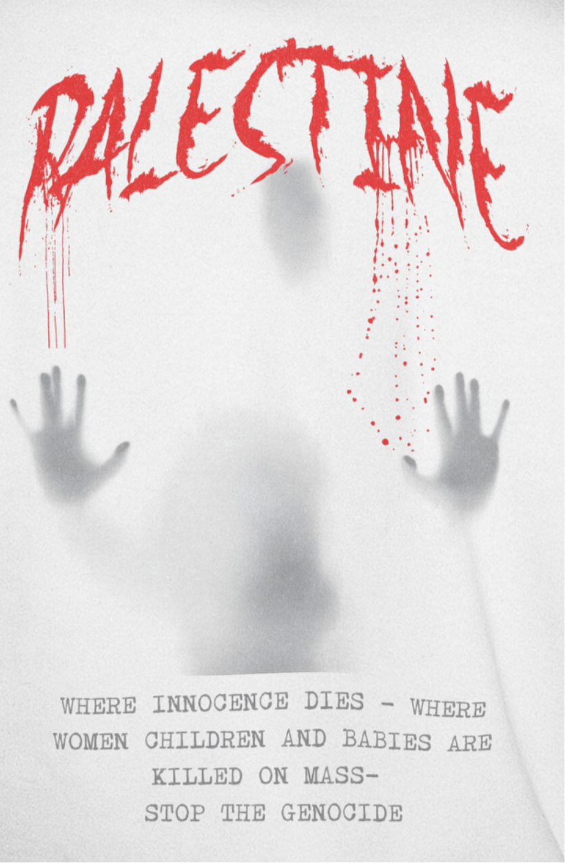 Palestine- ghost graphic tee in white