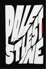 Palestine tee in black with white bold text