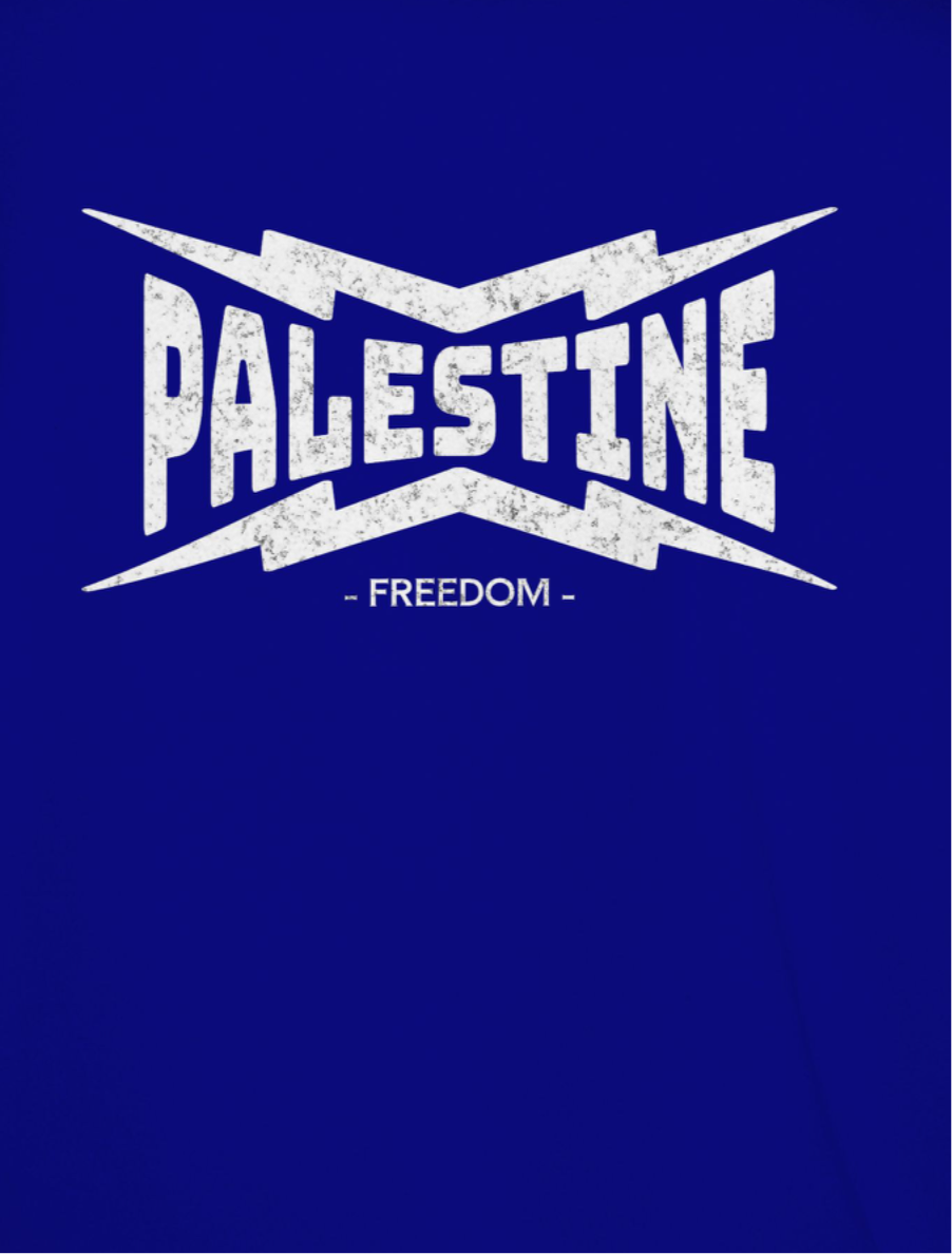 Palestine- power statement tee in royal blue with white text