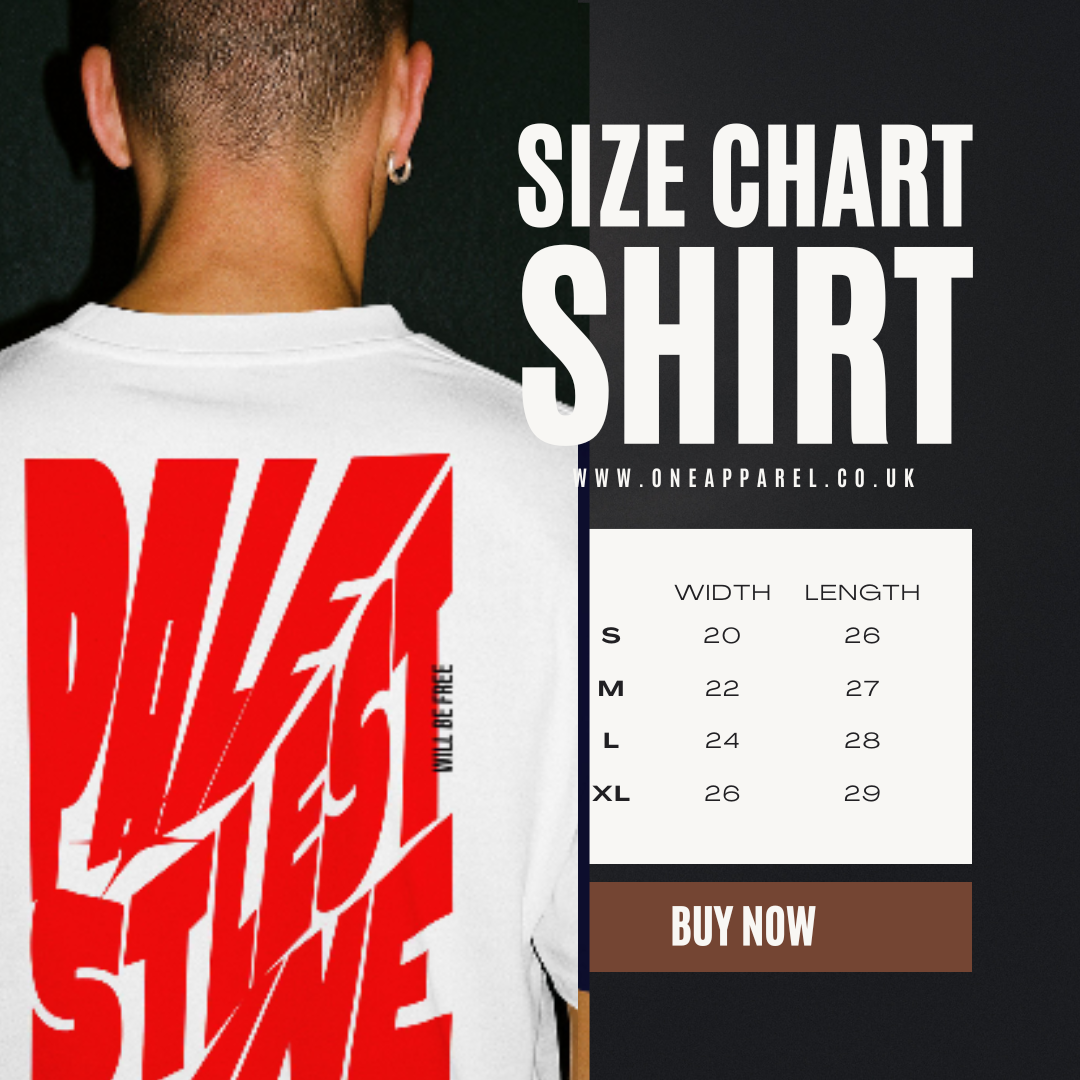 Palestine tee in white with red bold text