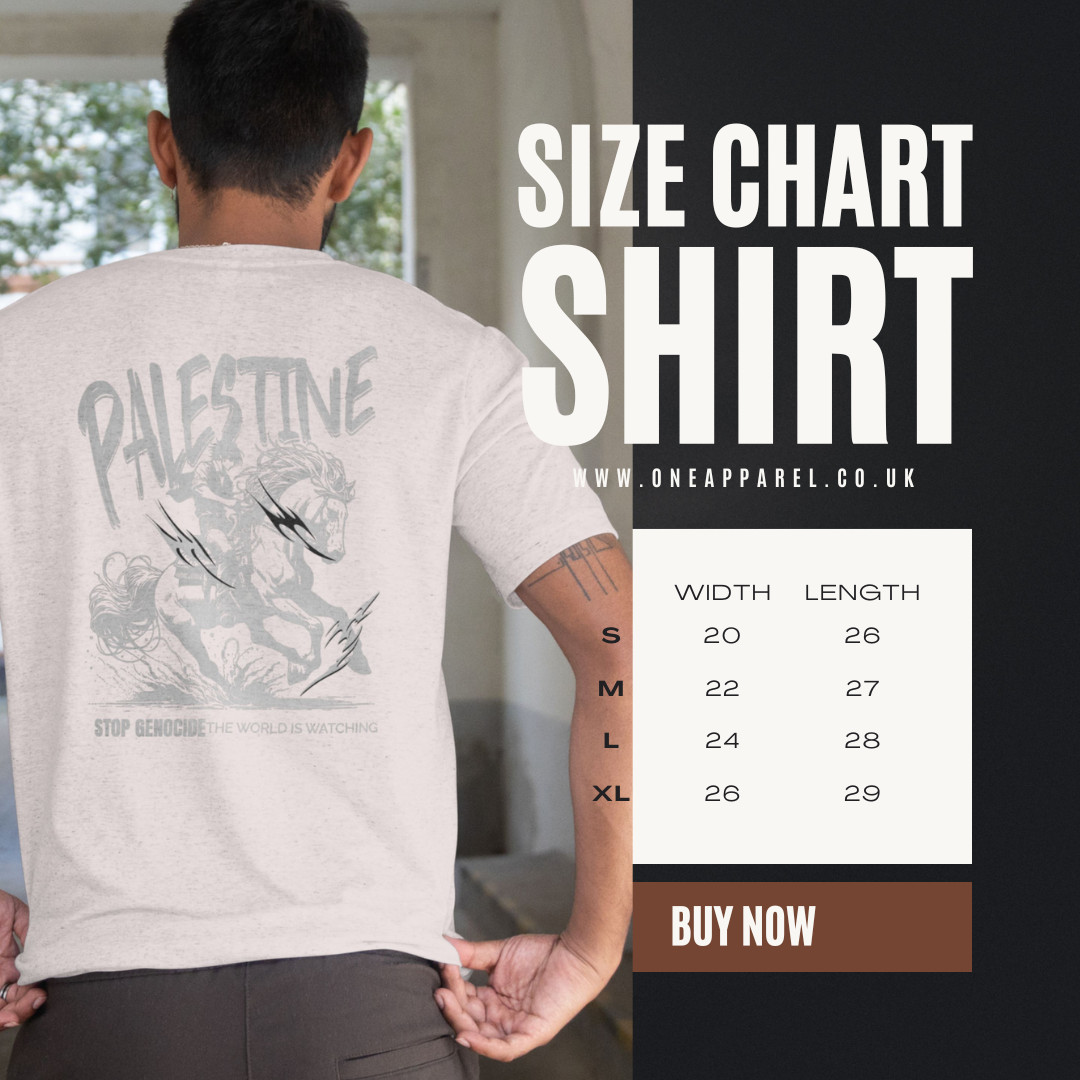 Free Palestine tee in grey with silver horse design