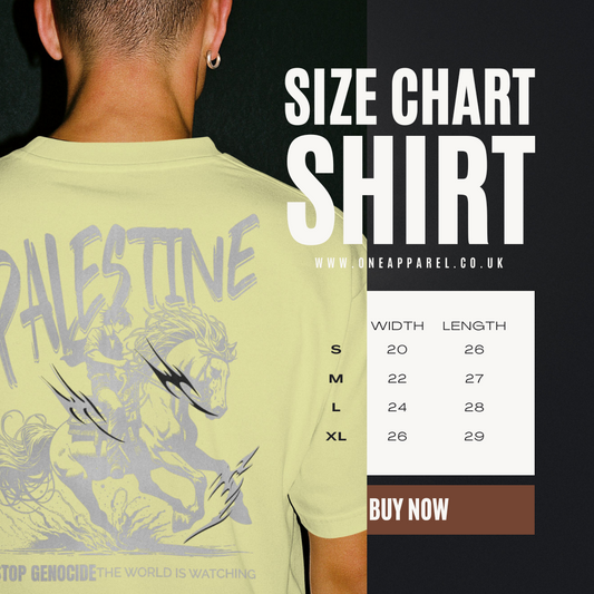 Free Palestine tee in off white-with silver horse graphic design