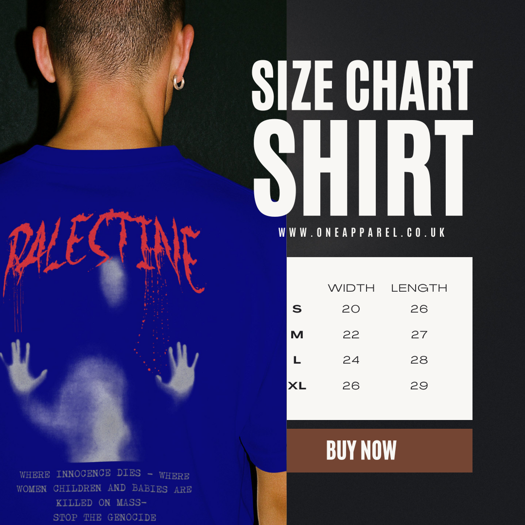 Palestine- ghost graphic tee in royal blue