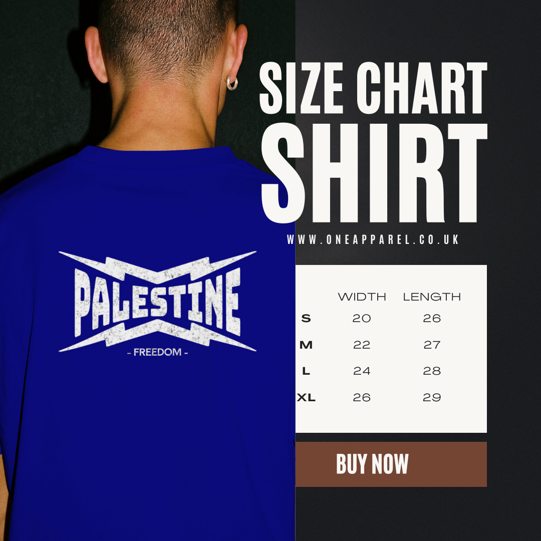 Palestine- power statement tee in royal blue with white text