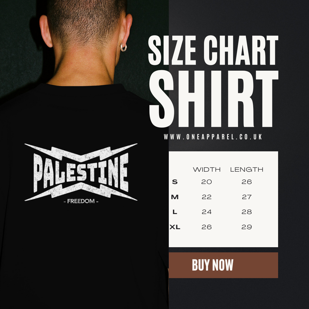 Palestine- power statement tee in black