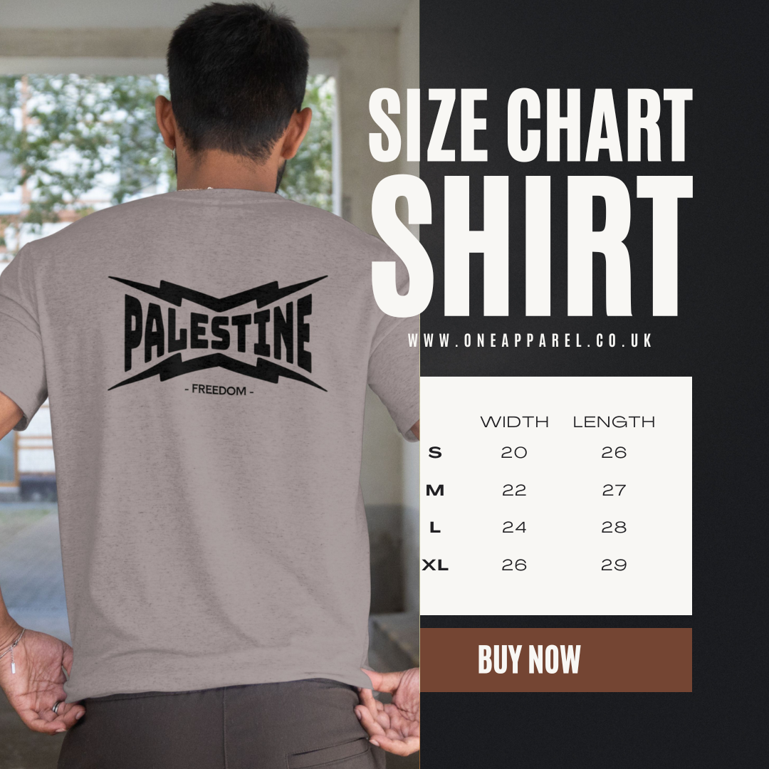 Palestine- power statement tee in graphite heather with black text