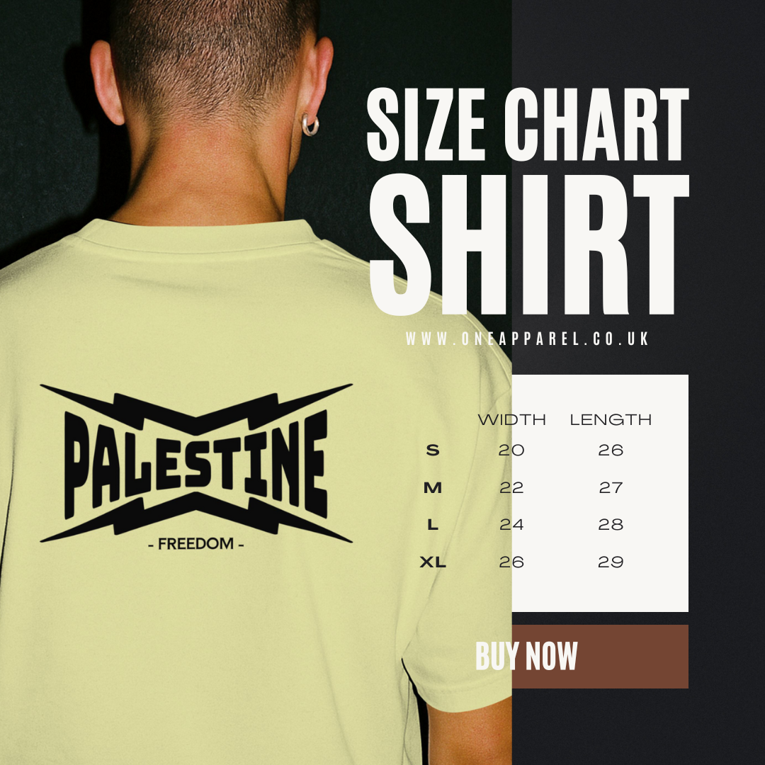 Palestine- Power statement tee in off-white with black text