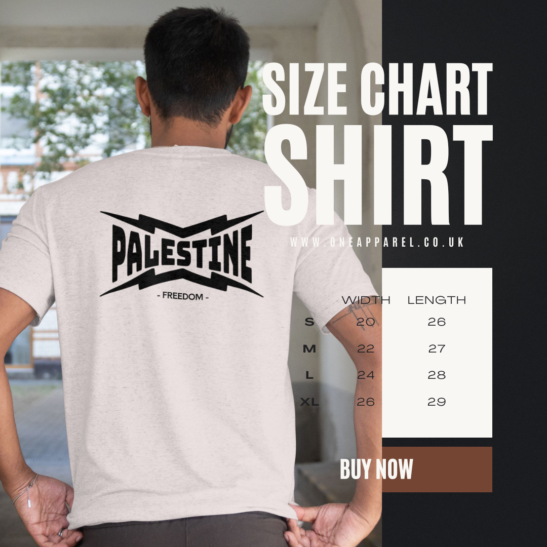 Palestine- power statement tee in sport grey with black text