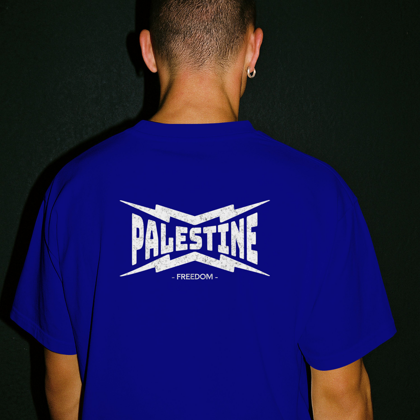 Palestine- power statement tee in royal blue with white text