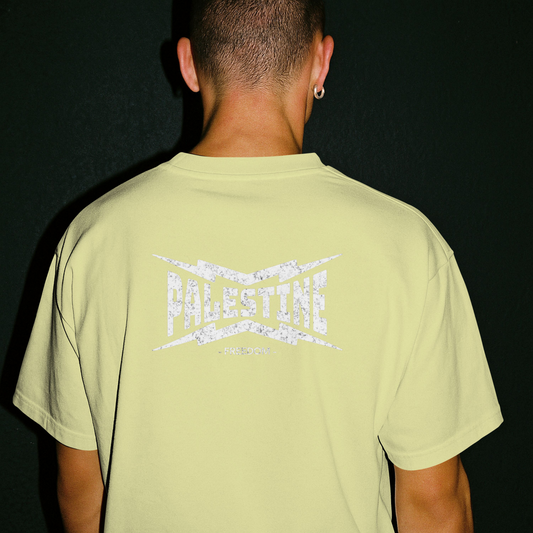 Palestine- power statement tee in off white with white text