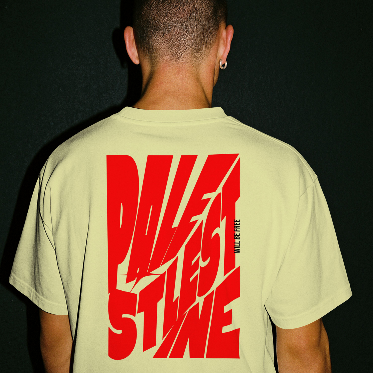 Palestine tee in off white with red bold text