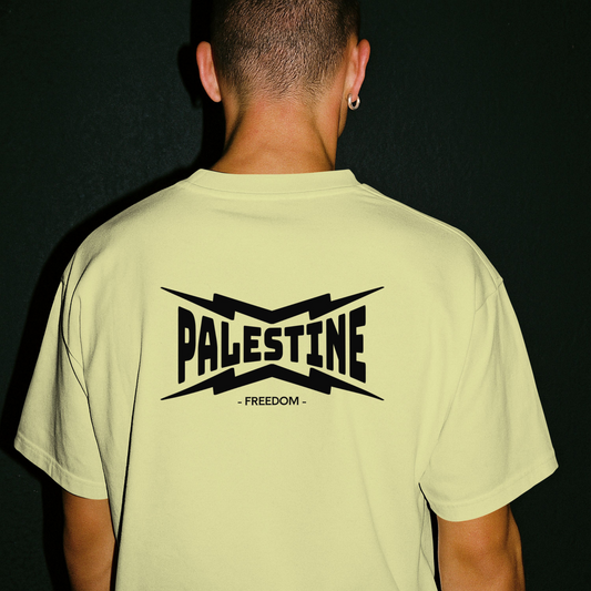 Palestine- Power statement tee in off-white with black text