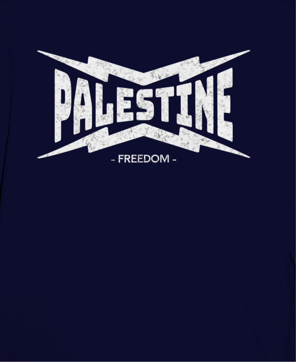 Palestine- power statement tee in navy with white text