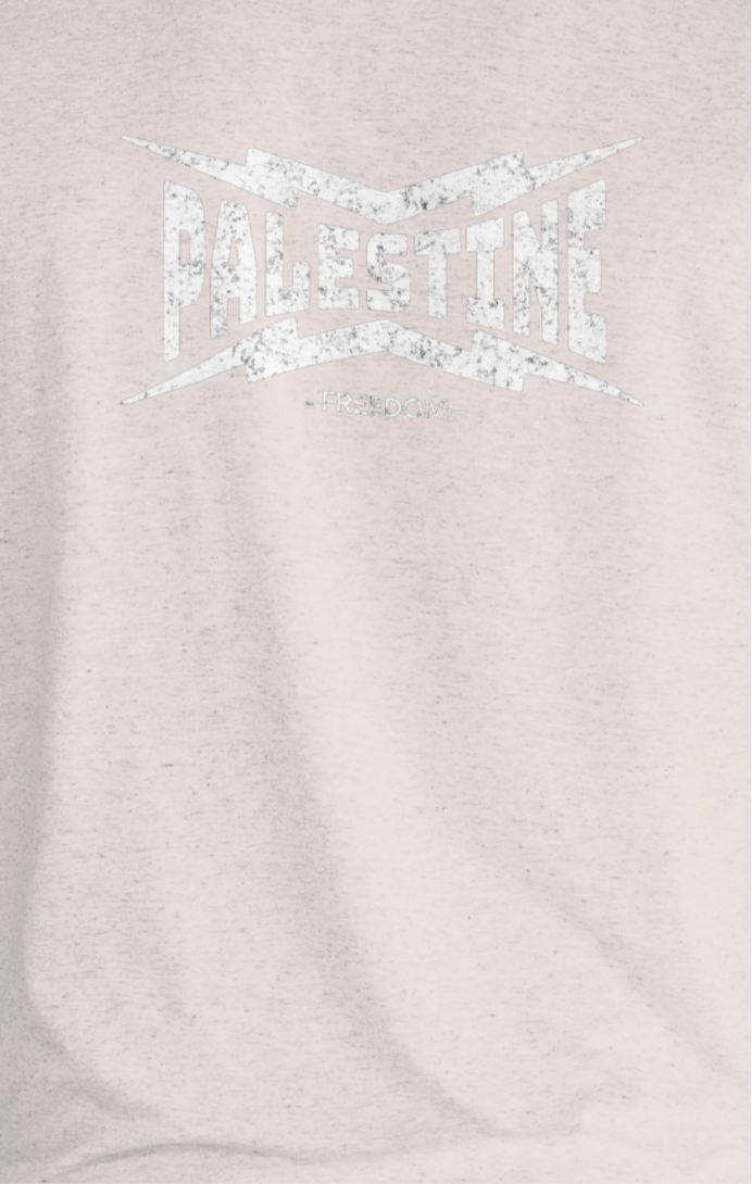 Palestine - power statement tee in sport grey with white text