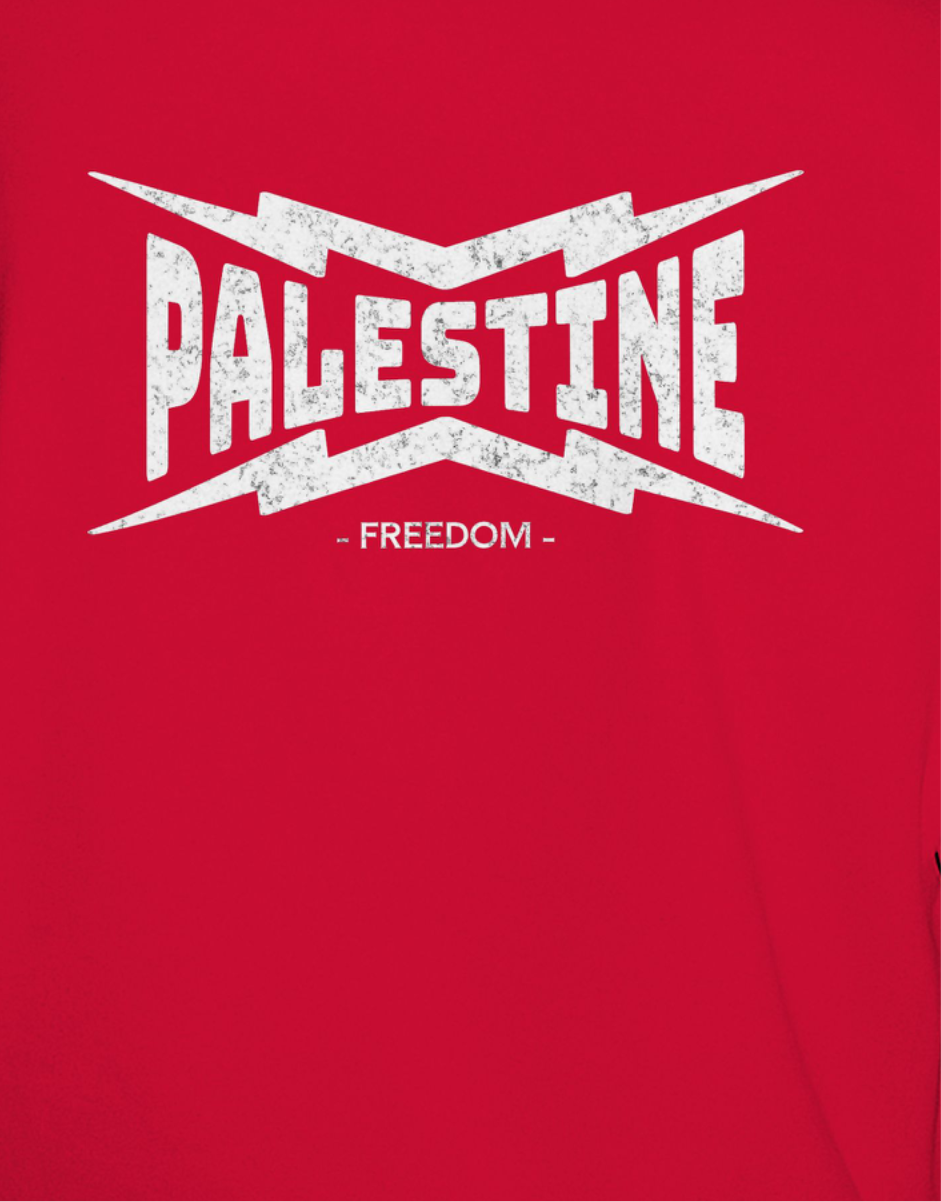 Palestine Power Statement Tee in red with white text