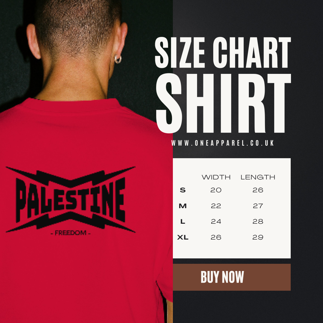 Men’s statement tee “Palestine “ in red