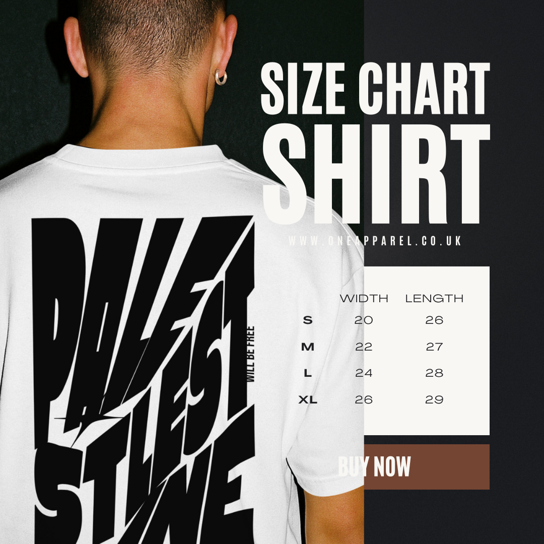 Palestine tee in white with black bold text