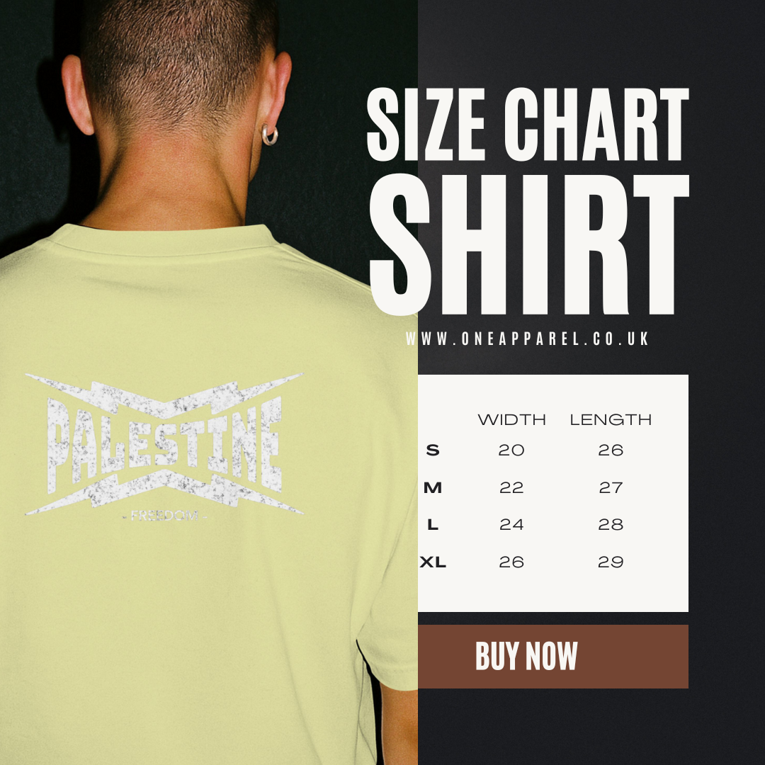 Palestine- power statement tee in off white with white text