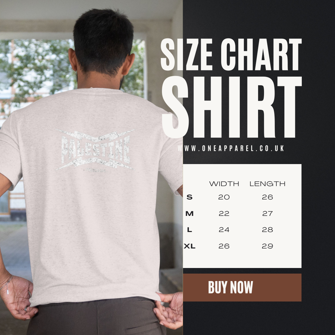 Palestine - power statement tee in sport grey with white text