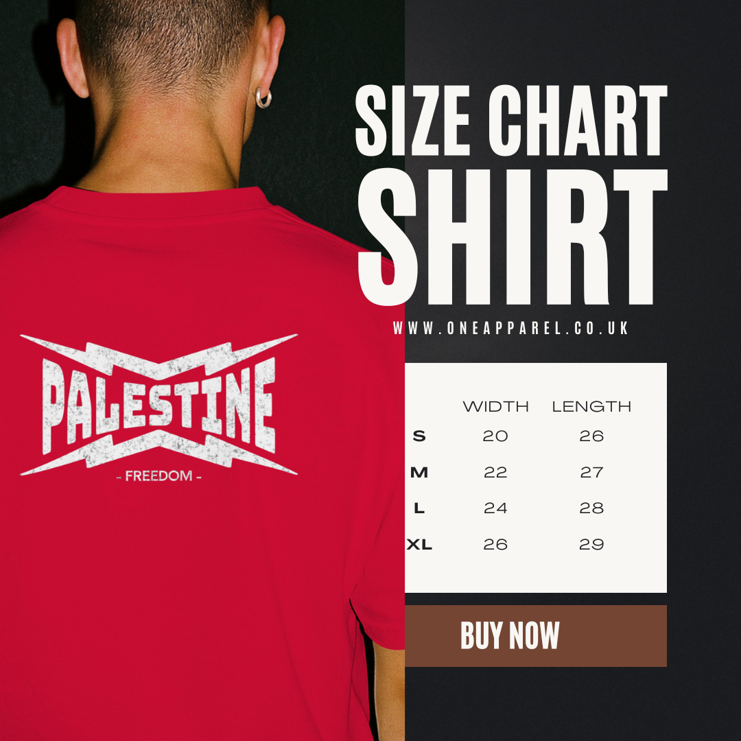 Palestine Power Statement Tee in red with white text