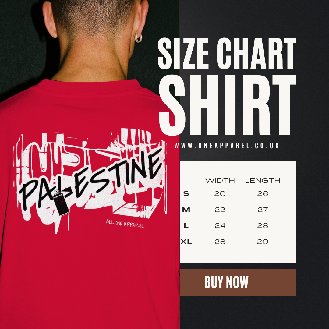 3D Bold Palestine Statement T-shirt- Red ( Black and White graphic)