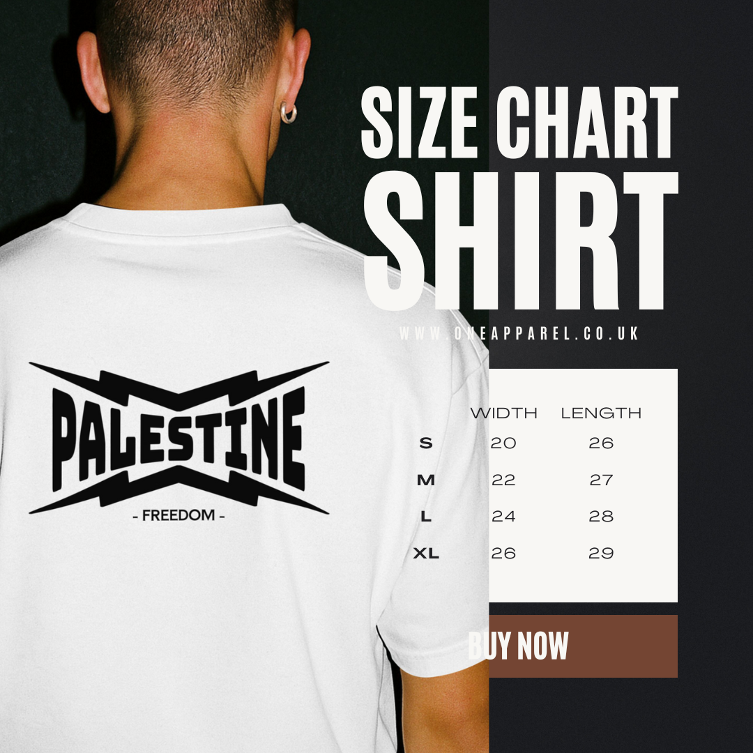 Palestine- power statement tee in white with black text