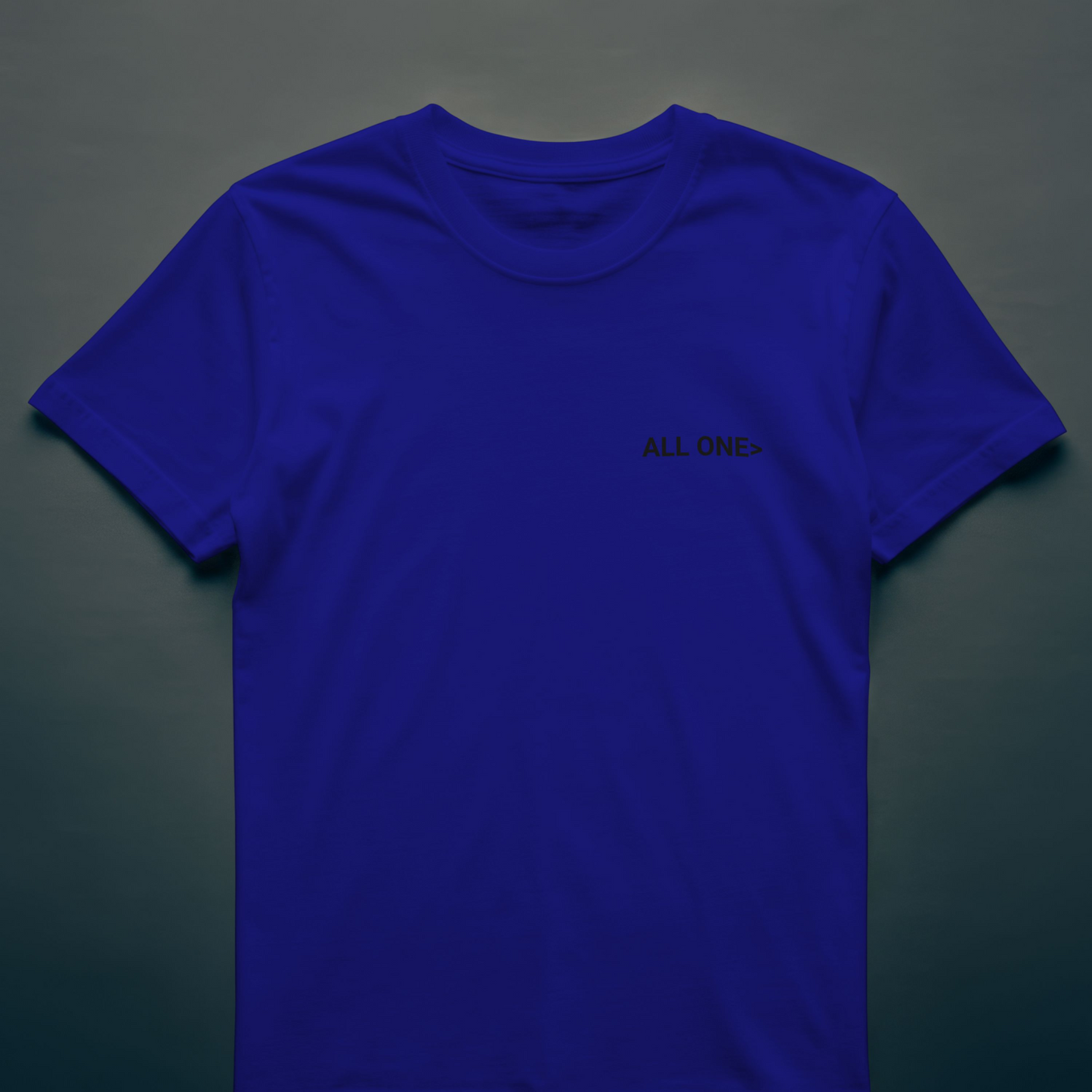 3D Bold Palestine Statement T-shirt-  Royal blue ( Black and white graphic)