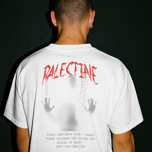 Palestine- ghost graphic tee in white