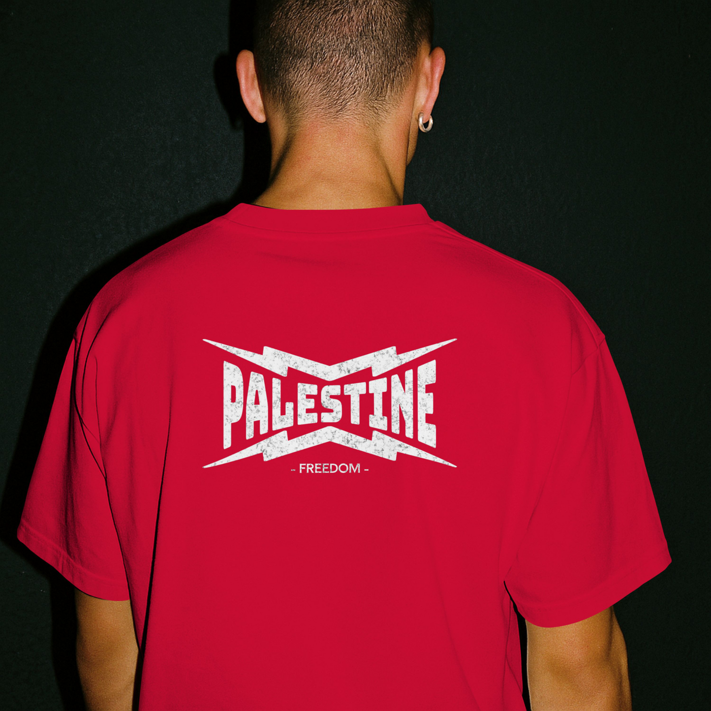 Palestine Power Statement Tee in red with white text
