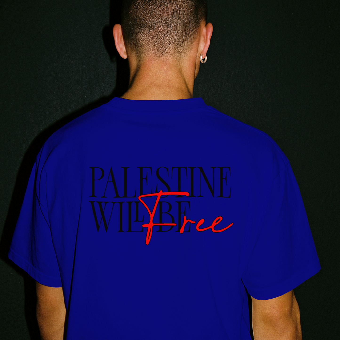 Stand for justice- Palestine will be free -